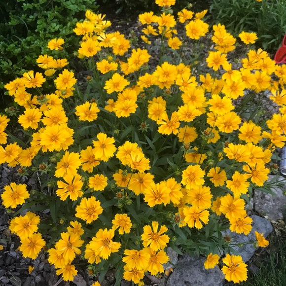 Meet your Posher, Erin - Picture 1 of 1